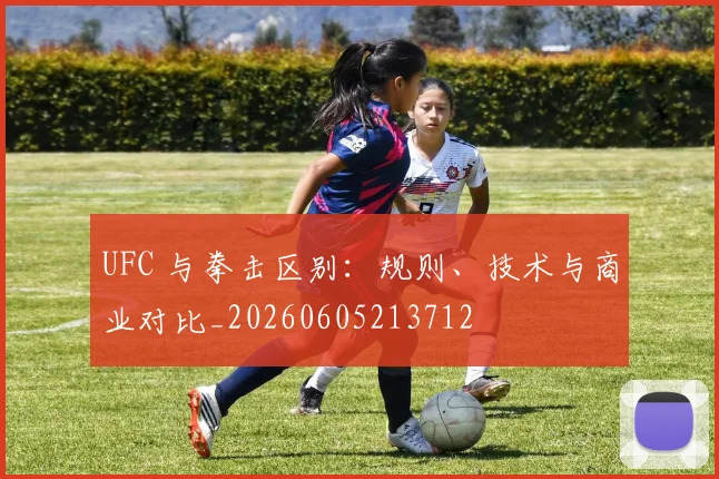 UFC 与拳击区别：规则、技术与商业对比_20260605213712
